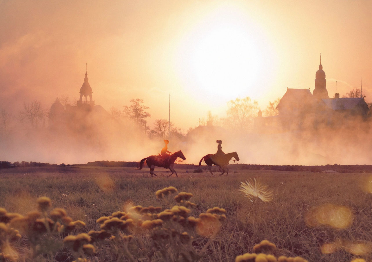 Paardentransport Leuven