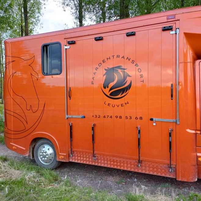 Paardentransport Leuven