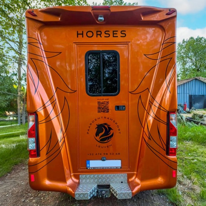 Paardentransport Leuven